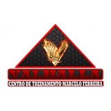 Valhalla Centro de Treinamento Marcelo Ferreira - logo