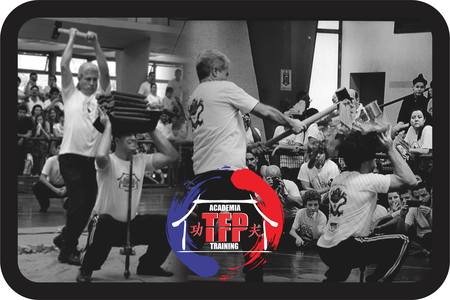 Academia TFP Kung Fu Training