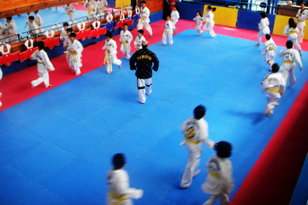 Taekwondo Maninho