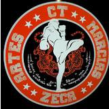 CT ZECA artes marciais - logo