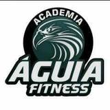 Academia Águia Fitness - logo