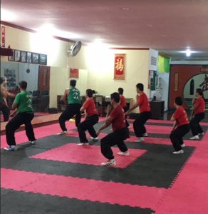 Academia AMKF Associação Mantis de Kung Fu