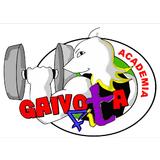 Academia Gaivota Fit - logo