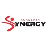 Academia Synergy - logo