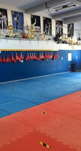 Taekwondo Academia Aguia