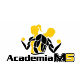 Ms Team Academia - logo