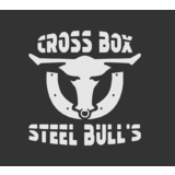 Cross Box Steel Bulls - logo