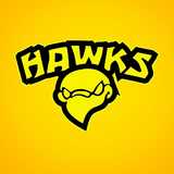 Academia Hawks / Abmte - logo