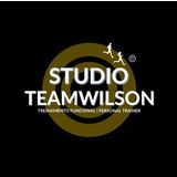 Studio Team Wilson - logo
