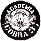 Academia Cobra3 - logo