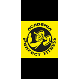 Academia Perfect Fitness - logo
