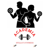 Academia Stillu's Fitness - logo