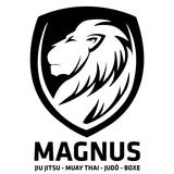 Academia De Lutas Magnus - logo