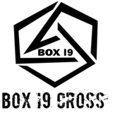 Box I9 Cross - logo