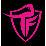 Academia Team Flá - logo