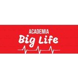 Big Life - logo