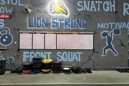 Lion Strong Centro De Treinamento