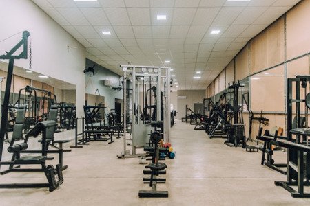 Primitive Gym