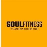 Soull Fitnes - logo