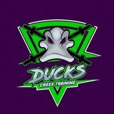 Ducks Cross Training - logo
