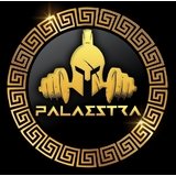 Academia Palaestra - logo
