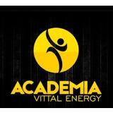 Academia Vittal Energy --- - logo