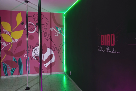 Bird Pole Studio