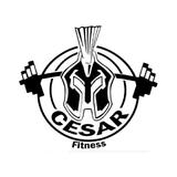 Cesar Fitness - logo