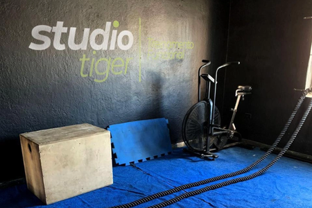 Studio Funcional Tiger