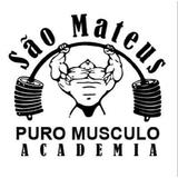 Academia Puro Músculo - logo