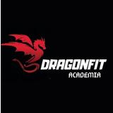 Academia Dragon Fit - logo