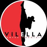 Vilella Artes Marciais - logo