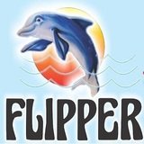 Academia Flipper - logo