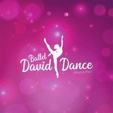 Ballet David Dance - logo