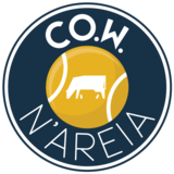 Co.W. N'Areia - logo