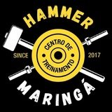 Hammer Maringá - logo