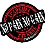 Academia No Pain No Gain Fitness - logo