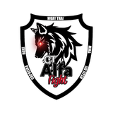Ct Alfa Fight - logo