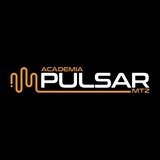 Pulsar Mtz - logo
