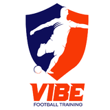 VIBE - TANQUE - logo