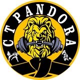Centro De Treinamento Pandora - logo