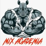 Mix Academia - logo