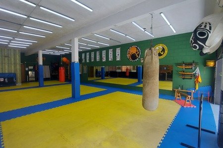 Instituto de Kung Fu Shaolin Granja Viana