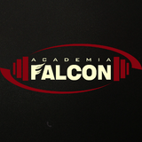 Academia Falcon - logo