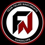 Team Felipe Nascimento - logo