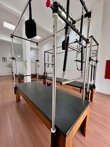 Conexão Pilates E Fisioterapia