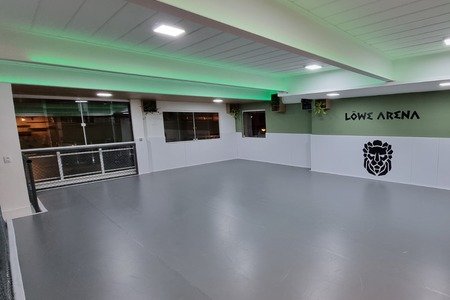 Löwe Arena