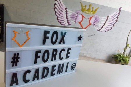 Academia Fox Force