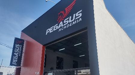 Academia Pegasus