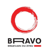 Equipe Bravo Jiu-jitsu e Boxe - logo